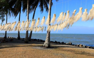 Call of the running tide